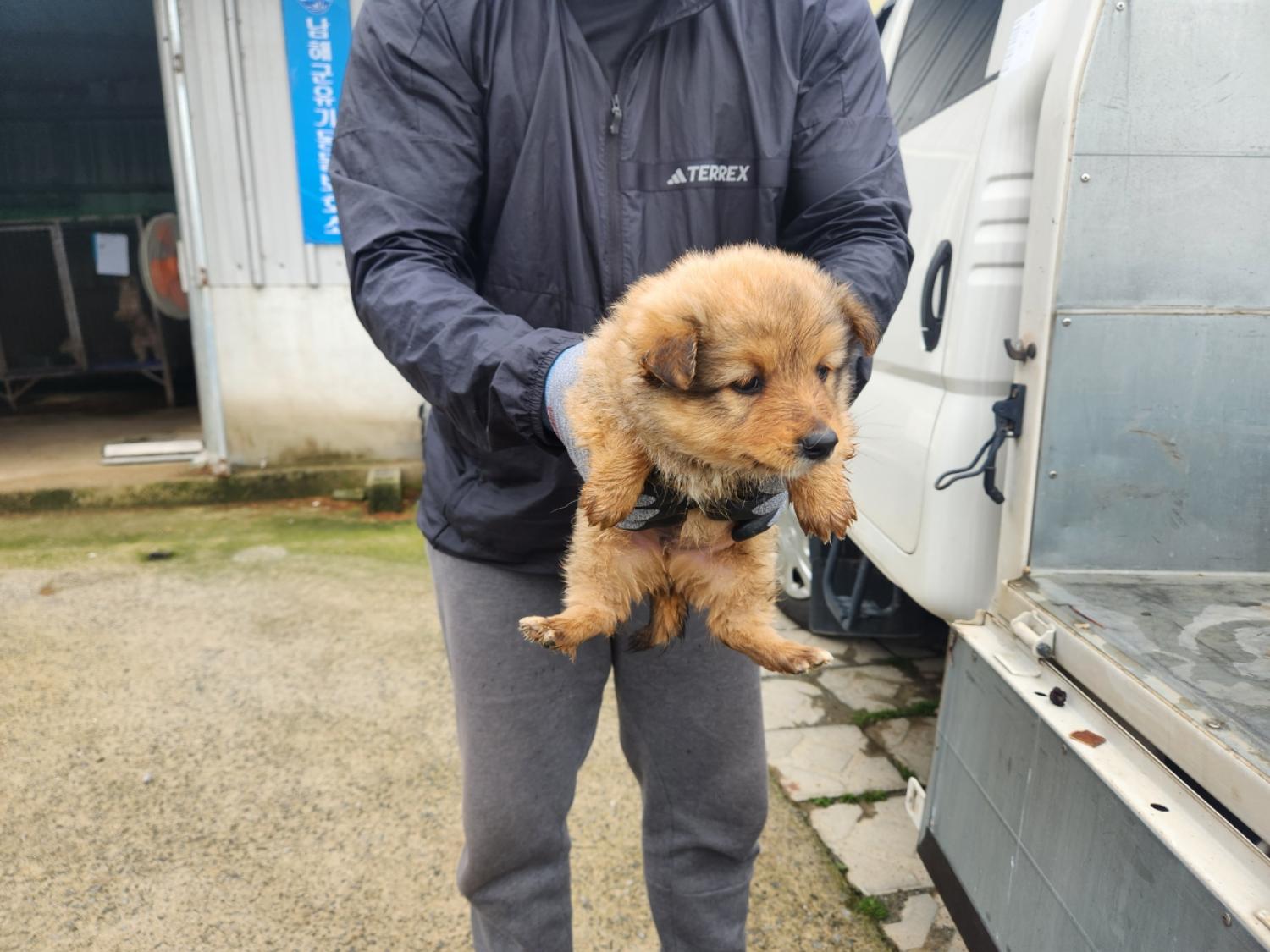 남해군유기동물보호소_448543202400093